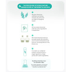 MISSHA Artemisia Calming Essence Mist Type