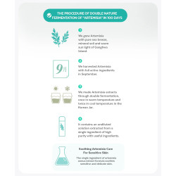 MISSHA Artemisia Calming Essence Mist Type