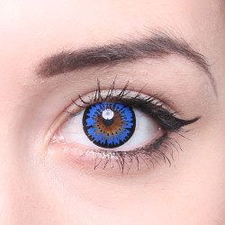 Crazy Fun Linsen F-20