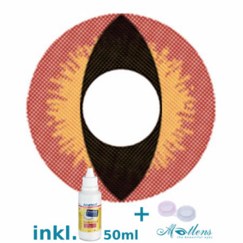 Crazy Fun Linsen F-67