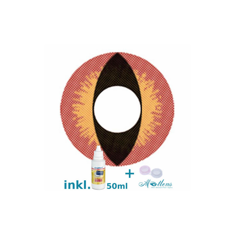 Crazy Fun Linsen F-67