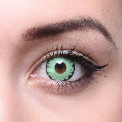 Crazy Fun Linsen F-79