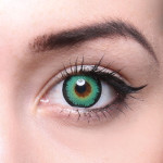 Crazy Fun Linsen F-81