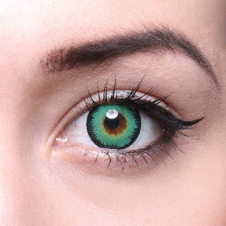 Crazy Fun Linsen F-81