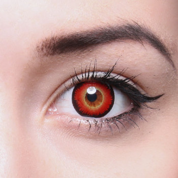 Crazy Fun Linsen F-82