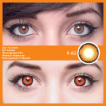 Crazy Fun Linsen F-82