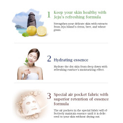 SNP Jeju Rest Volcanic Ash Mask