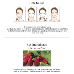 SNP Jeju Rest Cactus Mask