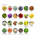 Holika Holika Golden Monkey Glamour Lip 3-Step Kit