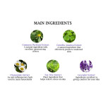 SNP Ice Bear Cica Mask