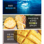 APIEU Icing Sweet Bar Sheet Mask (Pineapple) Ananas Gesichtsmaske