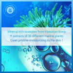 Nature Republic Super Aqua Max Combination Watery Cream