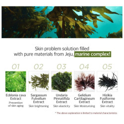 Secret Key Marine Racoony Hydrogel Eye & Multi Patch