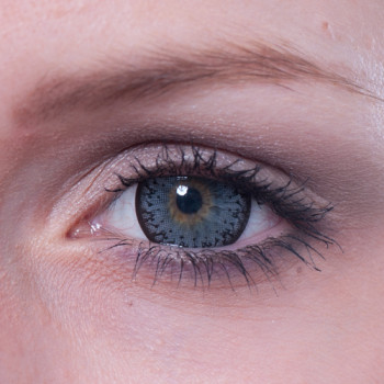 Cornflower Big Eyes PDX-36X