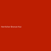 Herrlicher Bronze-Hut