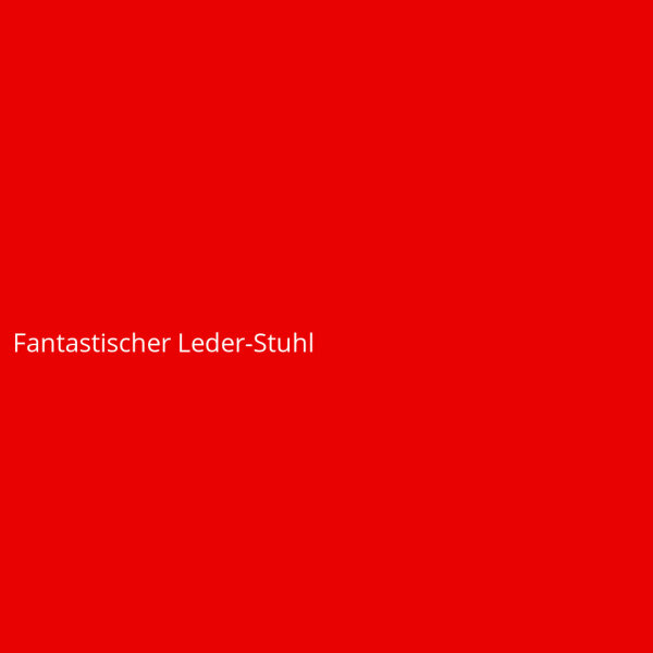 Fantastischer Leder-Stuhl